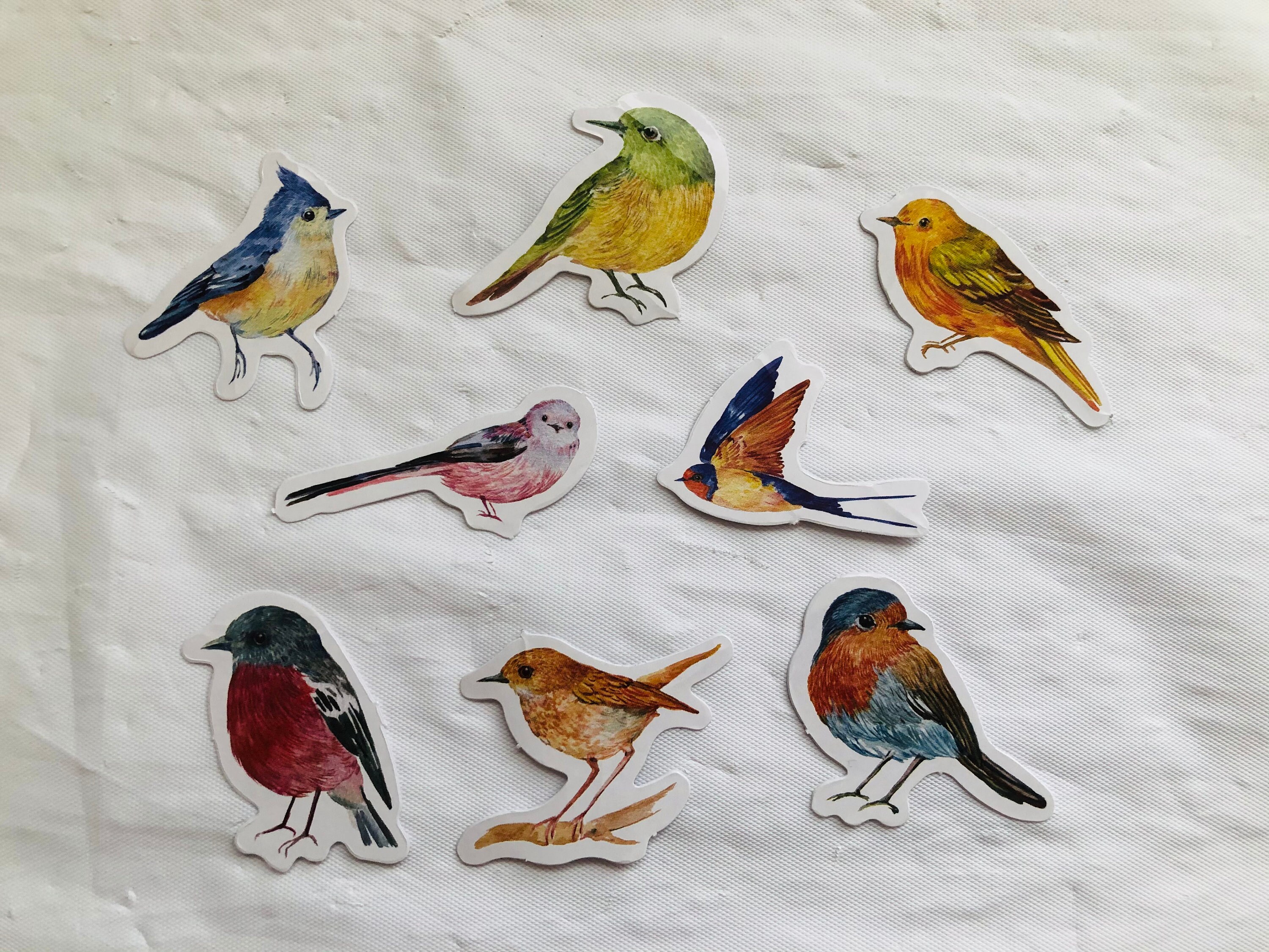 46 Bird Stickers | Etsy