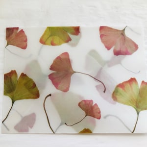 Enveloppes vélin feuilles de ginkgo d'automne