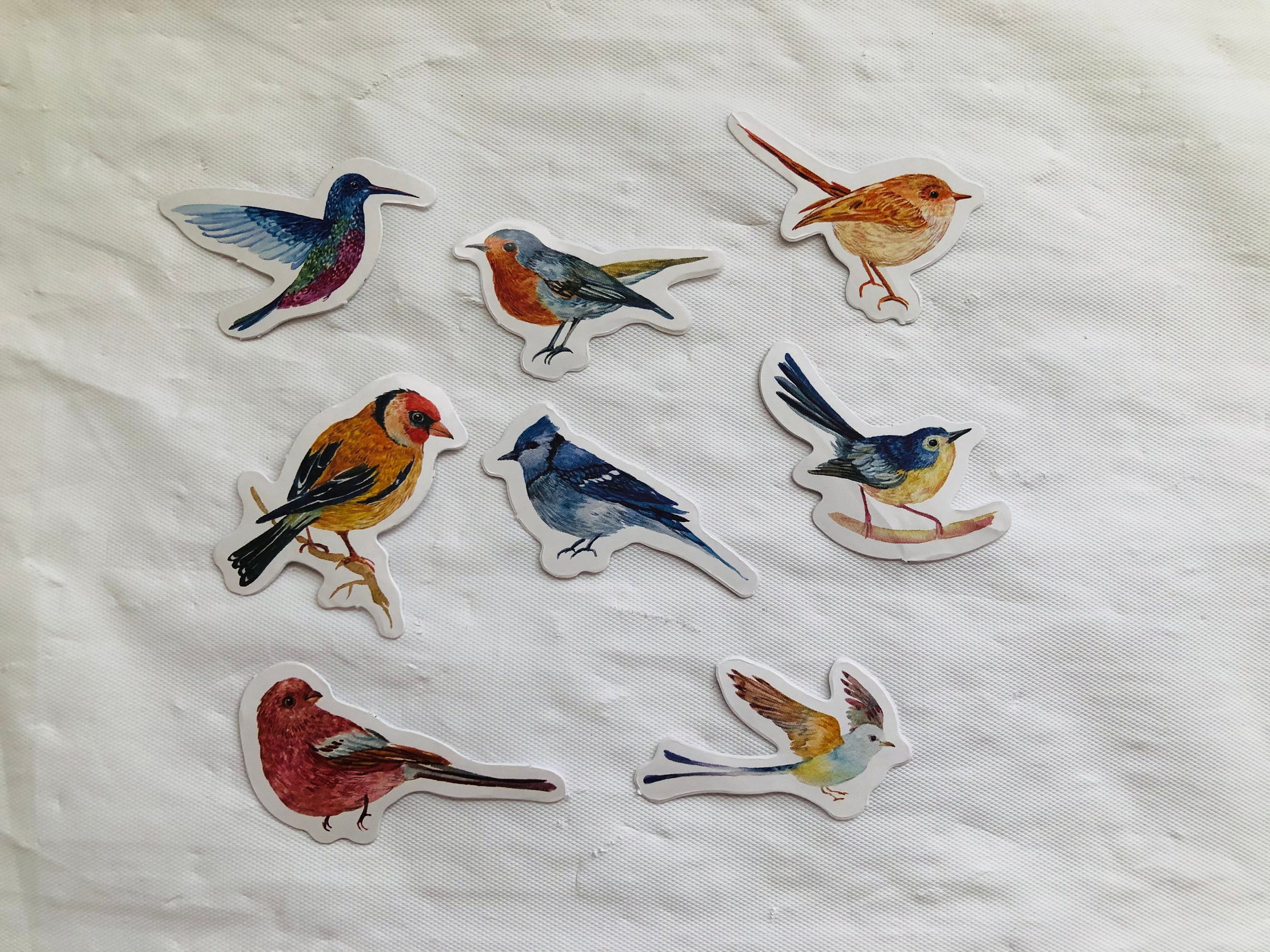 46 Bird Stickers - Etsy