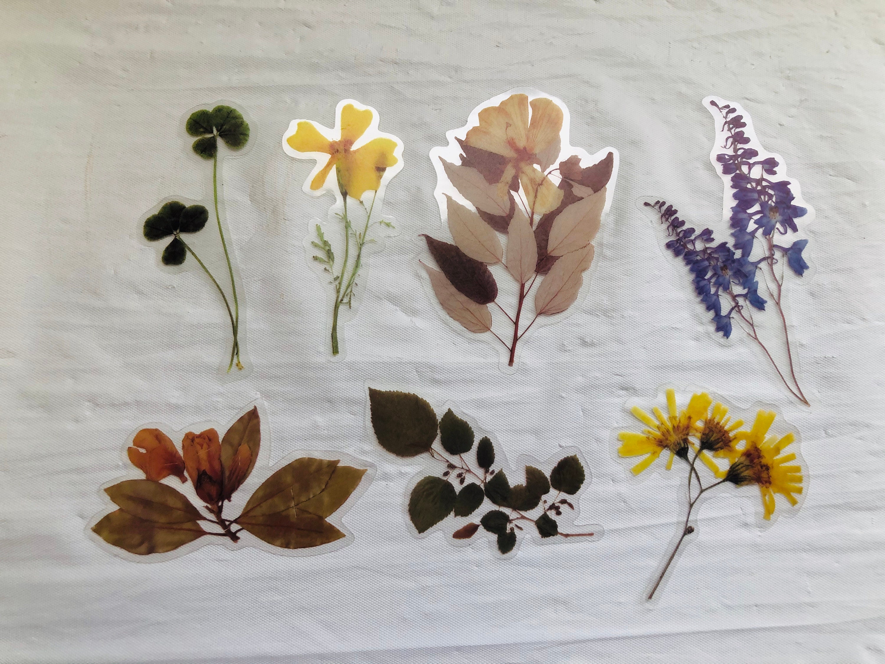 40 flower sticker set etsy