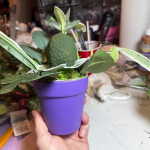 Op de afbeelding: Een kleine paarse bloempot met een getextureerde, donkergroene, ovaalvormige vrucht of decoratief element, omringd door diverse groene kunstbladeren en gebladerte. Het plantarrangement staat in de effen paarse pot.