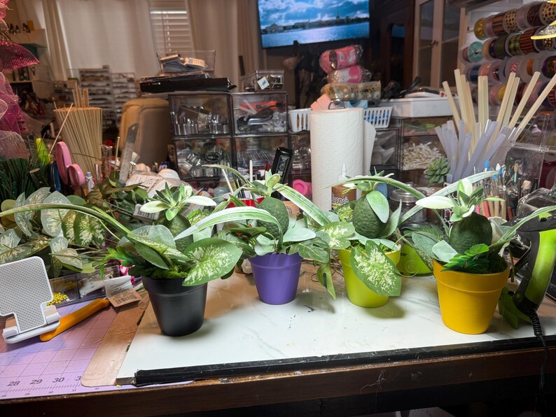 Op de afbeelding: Vier kleine kunstplanten in potjes op een rij. Elke pot heeft een andere effen kleur: zwart, paars, limoengroen en geel. De planten hebben groen blad met witte patronen en een centrale, getextureerde, groene, fruitachtige vorm.