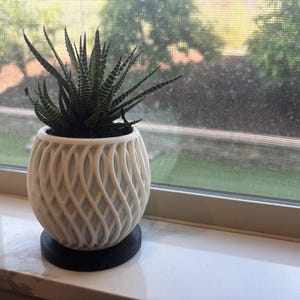 May include: A Haworthia succulent plant with dark green, white-striped, pointed leaves potted in a white, spherical planter featuring a vertical, interwoven lattice pattern. The planter sits on a circular, solid black base or saucer.