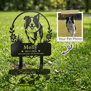 May include: A black metal memorial garden stake featuring a cutout silhouette of a dog, floral accents, and the engraved text Molly, 2011-2026, and Run free now, our forever pup, accompanied by a square photograph of a dog and a small arrow graphic.