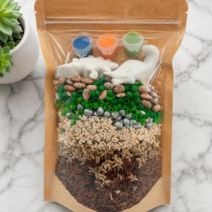 May include: A clear plastic pouch with a brown paper top containing two white dinosaur figurines, three small paint pots in blue, orange, and green, and layers of sensory filler including brown beans, green beads, silver balls, and brown rice.