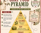 Goat Food Pyramid - Building Goat Nutrition From the Ground Up!
