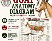 Goat Anatomy Diagram Printable Chart PDF