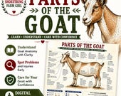 Parts of the Goat Diagram Printable Chart