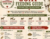 Goat Feed Guide Printable