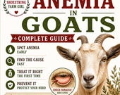 Goat Anemia Guide FAMACHA Anemia Causes Treatment and Prevention