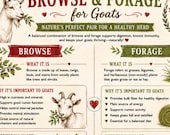 Browse & Forage Guide for Goats – The Foundation of Your Budget-Friendly Goat Feeding Program