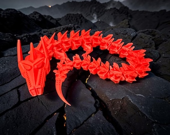 Articulated Dragon Robot