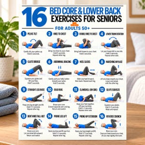 May include: A white instructional poster titled 16 Bed Core & Lower Back Exercises for Seniors for Adults 50+ featuring sixteen numbered illustrations of a person performing various physical exercises while lying on a bed with descriptive text.