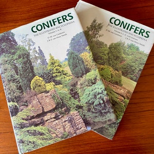 Vintage Conifers Illustrated Encyclopedia Book Set - Horticulture Reference