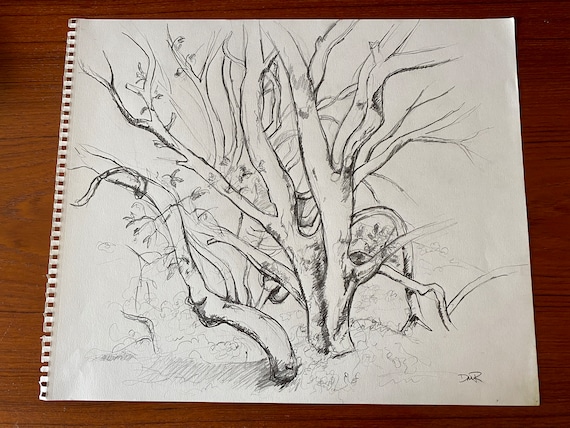 Wooden Branch Pencil Drawing