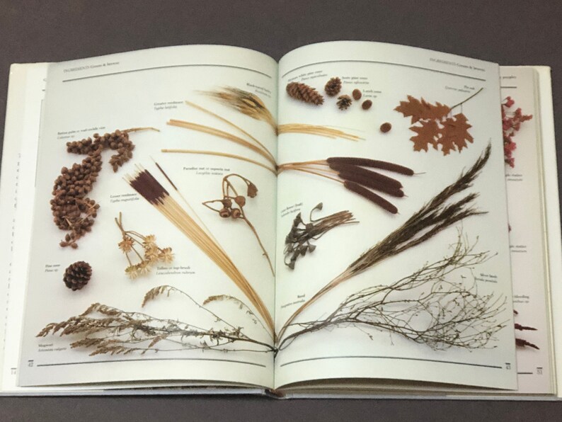The Book of Dried Flowers Growing Drying and Arranging Etsy