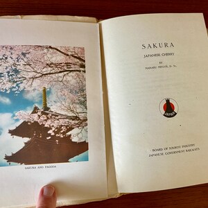 Japanese Industrial Arts Tourist Library 3 Sakura Japanese Cherry 1941 3rd Edition Antique Japanese Railway Booklet WWII image 6