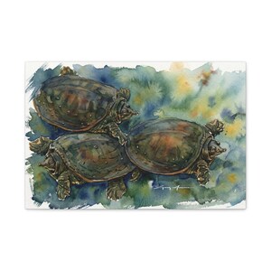 Stranded Softshell Turtle Trio Watercolor Canvas | Matte Stretched Wall Art