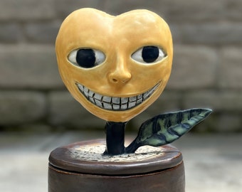 Strange Smiling Heart Vessel.