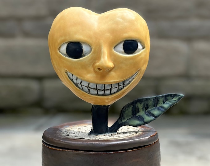 Strange Smiling Heart Vessel.