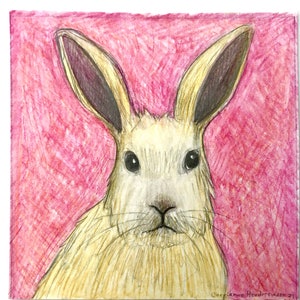 Bunny drawing.