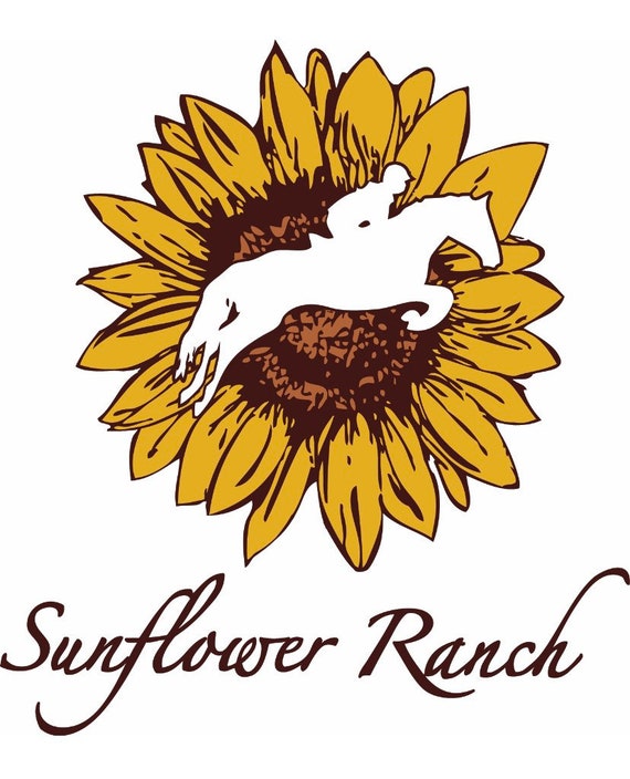 Sunflower Ranch equestrian team by Laylou pinks Cheeky Boutiue Catch