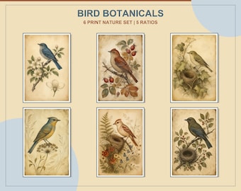 Juego de 6 láminas botánicas vintage de aves, pájaros y nidos de jardín antiguos, decoración de pared para galería de estilo rústico.