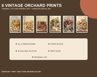 Juego de 6 láminas vintage de cosecha de huerto, arte mural de frutas rústicas, decoración de cocina de estilo campestre.