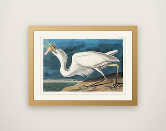 Snowy Egret - John James Audubon Bird Print, Vintage Birds of America Illustration, Antique Ornithology Wall Art, Naturalist Decor
