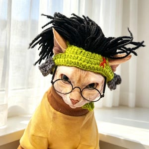 May include: A hairless cat wearing a lime green crocheted headband with black yarn hair attached, small grey side accents, and a red embroidered detail. The cat is also wearing round black-rimmed glasses and a yellow sweater with a brown collar.