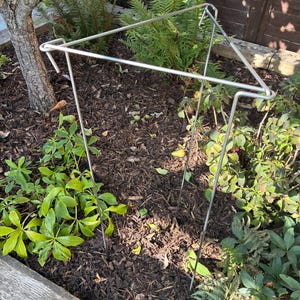 May include: A square-shaped metal plant support stake made of thin, silver-coloured wire. The structure features four vertical legs connected by a top frame with looped corners, designed to be inserted into the ground to hold up garden plants.