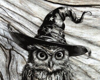 Happy Halloween! Owl in witch's hat saying Happy Owl'oween!
