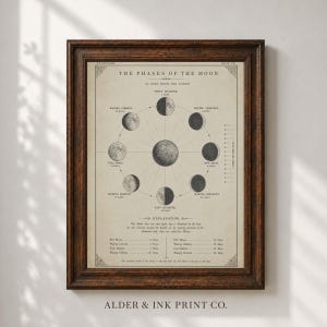 Puede incluir: Una lámina educativa enmarcada de estilo vintage titulada The Phases of the Moon, que presenta una ilustración central de la Tierra rodeada por ocho fases lunares en blanco y negro sobre fondo beige, con texto descriptivo y una tabla de días lunares.
