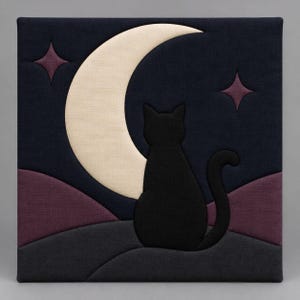 Kinusaiga No Sew DIY Craft Kit with Frame, Witchy Home Decor, Black Cat Moon Butterfly Spider Art, Handmade Gift