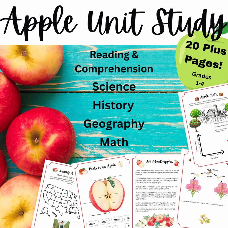 Apple Unit Study image 1