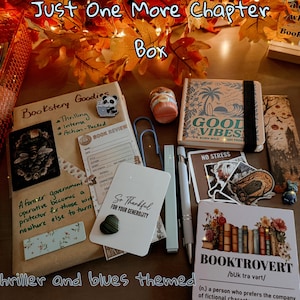 May include: A collection of stationery and book-themed items including a brown paper package labeled Bookstery Goodies, a Good Vibes notebook, a Booktrovert card, a panda pin, blue paper clips, a pen, stickers, and a bookmark with a castle scene.