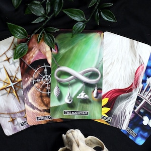 Jeu de tarot Belles bêtes | Jeu de tarot pour débutant, jeu de tarot animal, jeu de tarot unique avec boîte de cartes de tarot, jeu de tarot sombre, livre de tarot