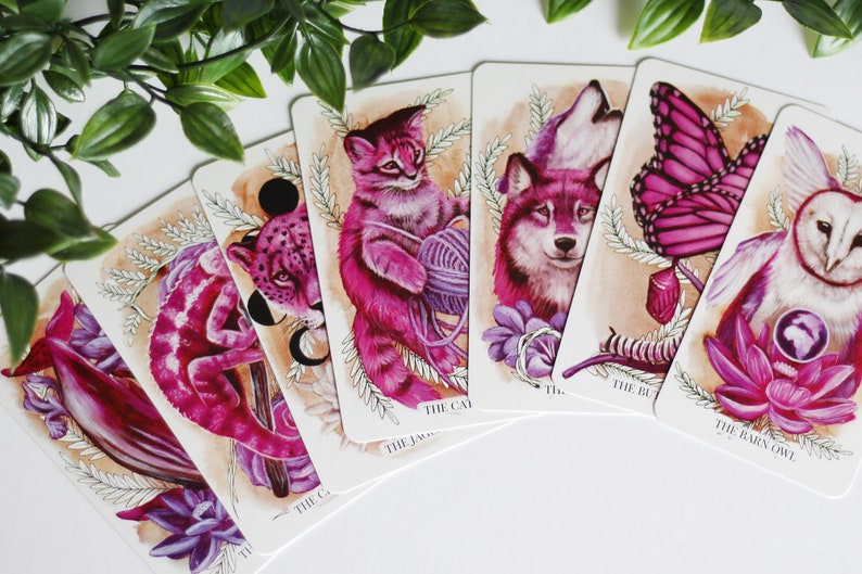 Pink and purple tarot and oracle cards featuring animals, flowers, plants and crystals.