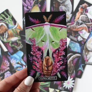 Deck ORACLE Chercheur d'Ombres Dark Oracle Deck avec animaux, fleurs et plantes, Oracle Cards avec guide, Indie Oracle Deck image 7