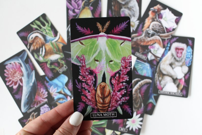 Deck ORACLE Chercheur d'Ombres Dark Oracle Deck avec animaux, fleurs et plantes, Oracle Cards avec guide, Indie Oracle Deck image 7