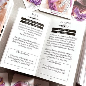 May include: Two cards from a deck of oracle cards. The card on the left features a moth with a silver lining and the text "Silver Lining Shining Bright". The card on the right features an octopus with the text "Octopus Ingenuity Flexibility".