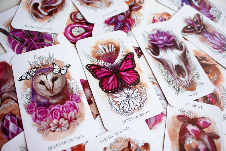 A tarot deck featuring pink and purple animals. The cards feature a barn owl with roses, a monarch butterfly with ferns and flowers, and a wolf skull with a lotus flower. There are many other cards in the background.