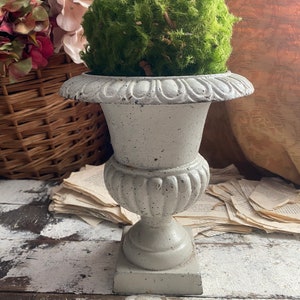 May include: A white, weathered-look urn with a green moss ball. The urn has a square base, a fluted body, and a decorative rim. The moss ball is a vibrant green, contrasting with the urn's neutral color. The background includes a wicker basket and vintage paper.