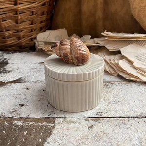 May include: A white ceramic jar with a ribbed design and a seashell lid. The seashell is brown and has a natural texture.