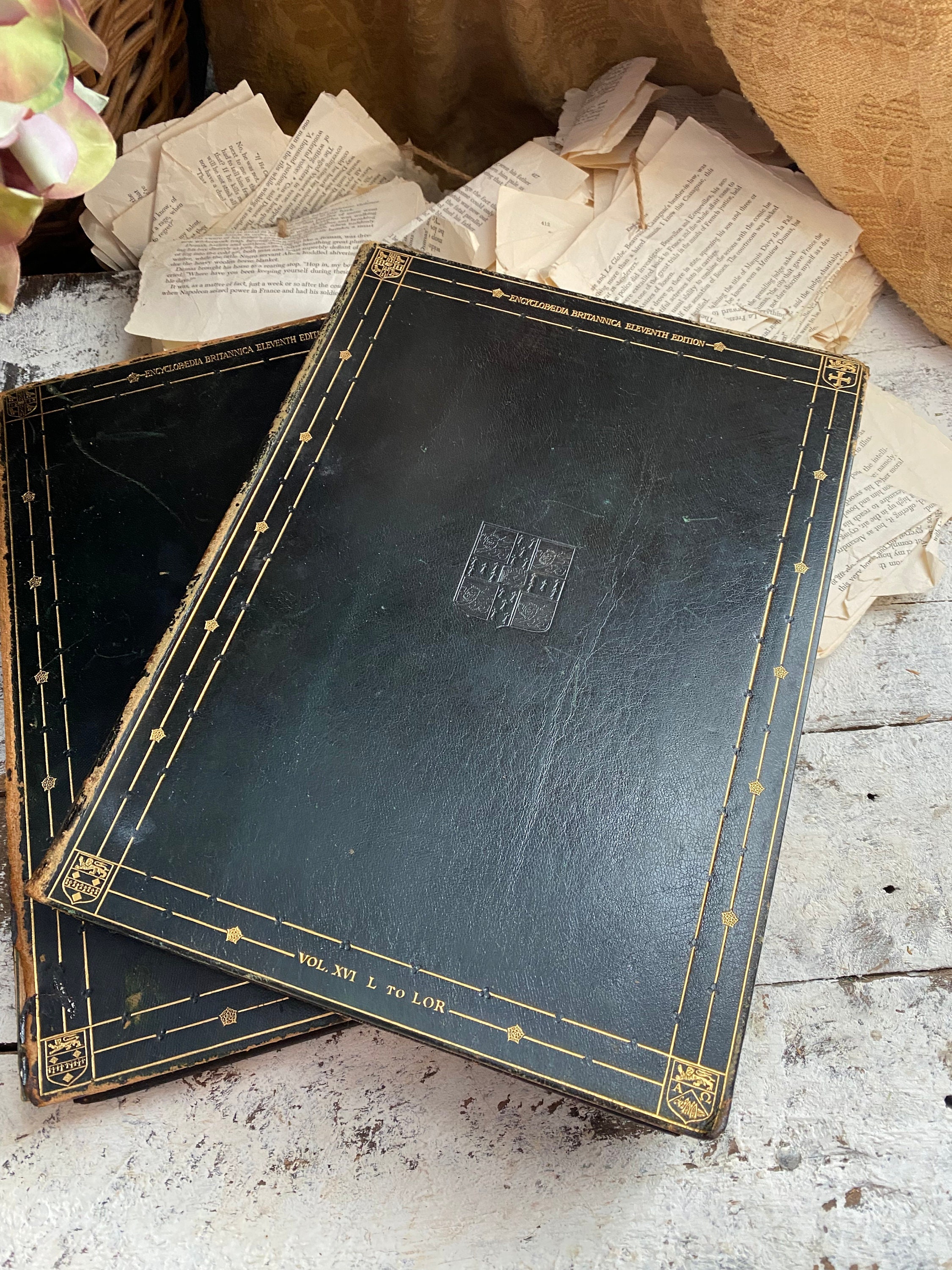 お値下げいたします）ENCYCLOPEDIA AMERICA お値下げいたします