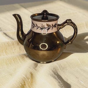 May include: A metallic bronze teapot with a rounded body, a curved spout, and a handle. The upper section features a light-colored band decorated with a dark, intricate floral vine pattern. A matching lid with a small knob sits on top.