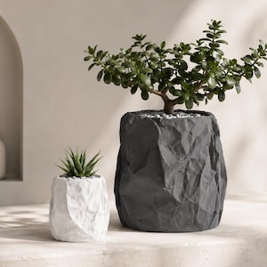 May include: Two cylindrical plant pots with a textured, crumpled paper appearance. The larger pot is dark charcoal grey and holds a green jade plant, while the smaller pot is white and contains a small, spiky green succulent plant.