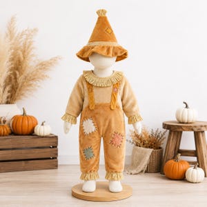 May include: A scarecrow costume featuring a mustard yellow pointed hat with a ruffled brim, a long-sleeved top with a fringed collar and cuffs, and overalls with attached suspenders. The overalls are decorated with various colored fabric patches.