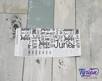 June Monthly Kit | Hobonichi Weeks | Monthly kit | Simple Hobonichi Kit | Sunday or Monday Start | 3.25x7.5 Sheet | 17 Stickers