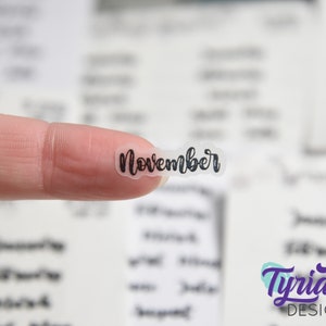 Adesivi per piccoli mesi / Gennaio - Dicembre / Carattere Script / Adesivi per pianificatore titoli mensili / Opzioni foil / 24 adesivi / Carattere Izzy
